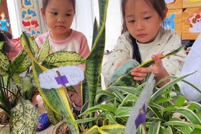 GIỜ CHƠI Ở CÁC GÓC CỦA LỚP D5