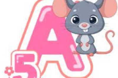 A5 kế hoạch chủ đề ” phương tiện và luật giao thông”