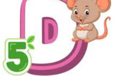 D5 kế hoạch chủ đề ” phương tiện và luật giao thông”