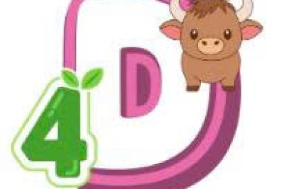 D4 kế hoạch chủ đề ” phương tiện và luật giao thông”