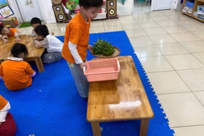 HOẠT ĐỘNG TRẢI NGHIỆM: NHẶT RAU MUỐNG LỚP A5