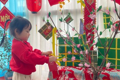 Trang trí cành đào để đón Tết lớp D3