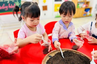 Trải nghiệm: BÉ TRỒNG CÂY HÀNH lớp B3