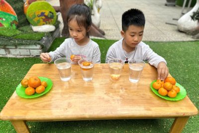 thí nghiệm sự chìm nổi của quả quýt lớp C5