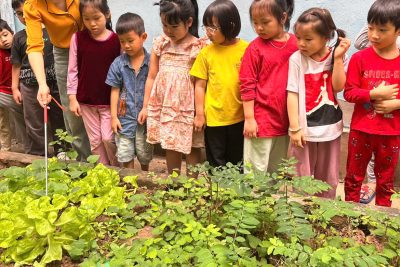 Tham quan và quan sát vườn rau xanh của trường lớp C5